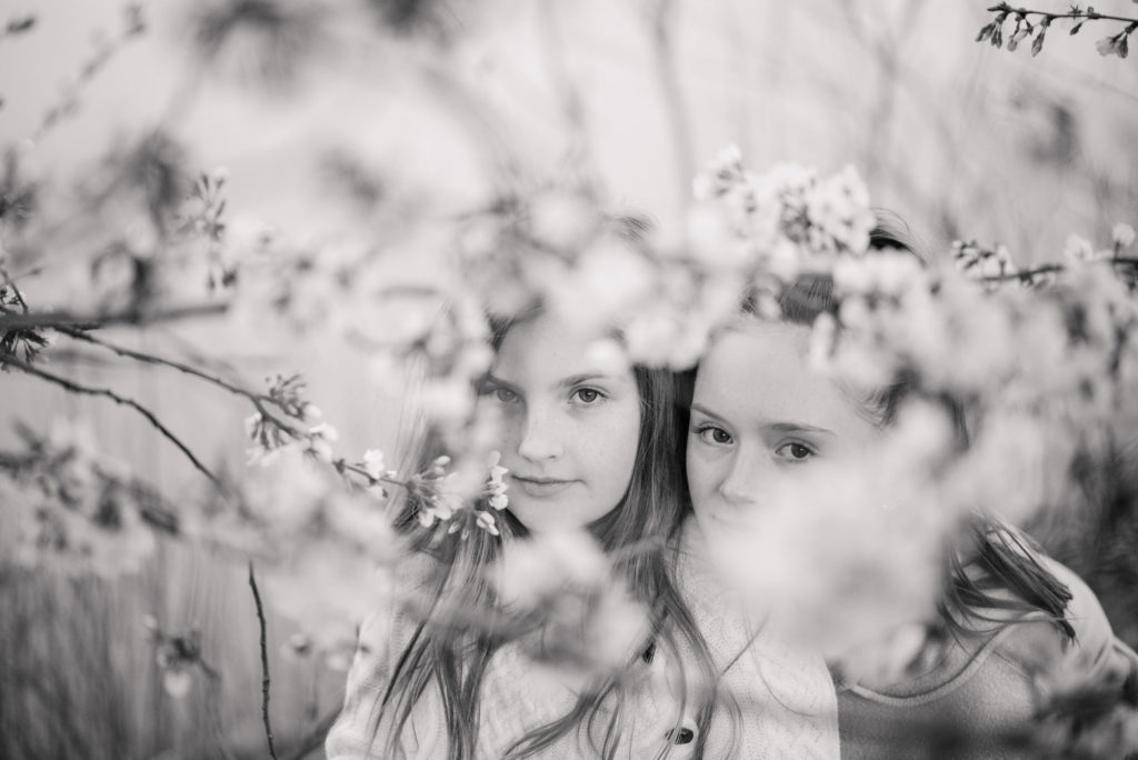 cherry blossom portraits washington dc family photographer
